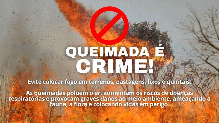 Campanha de Conscientização: Queimada é Crime Ambiental